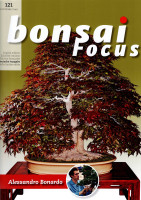 Bonsai Focus, Nr. 121