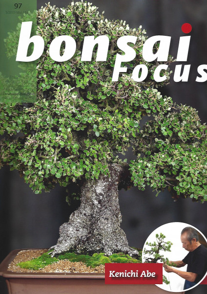Bonsai Focus, Nr.97