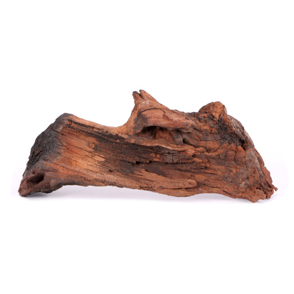Tanuki-Holz
