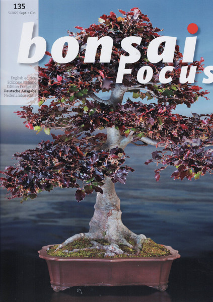 Bonsai Focus, Nr. 135