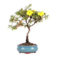 Vorderseite Vorderseite