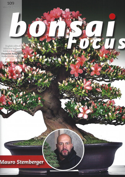Bonsai Focus, Nr. 109