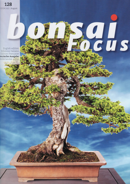Bonsai Focus, Nr. 128