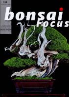 Bonsai Focus, Nr. 134