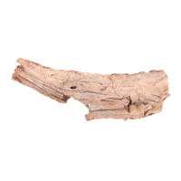 Tanuki-Holz