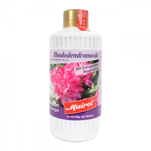 Mairol Rhododendronwohl