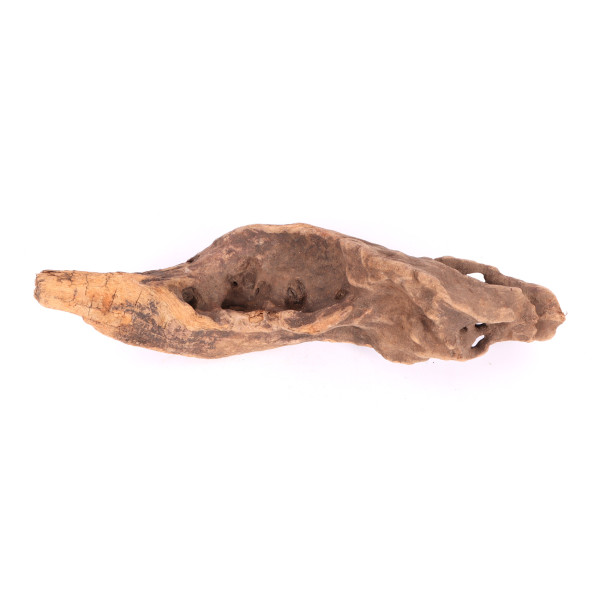 Tanuki-Holz