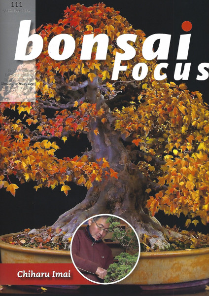 Bonsai Focus, Nr. 111